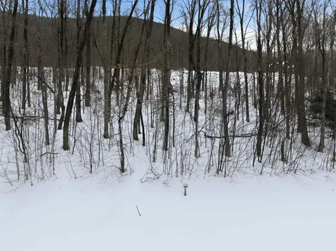 8 Buck Road Lincoln NH 03251