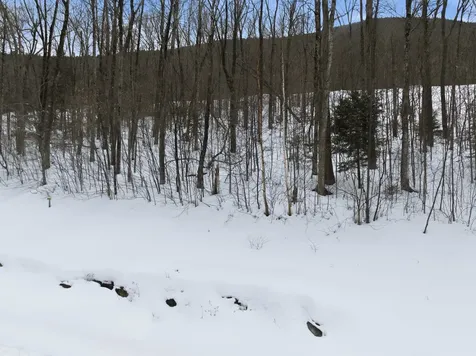 8 Buck Road Lincoln NH 03251