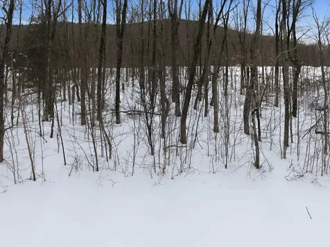 8 Buck Road Lincoln NH 03251