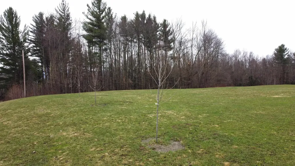 315 North Hill Road Westfield VT 05874