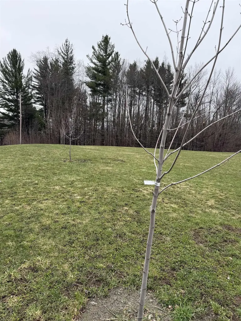 315 North Hill Road Westfield VT 05874