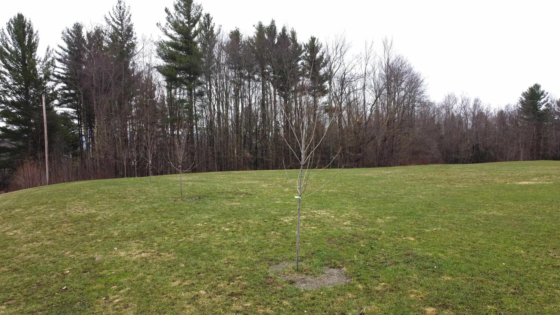 315 North Hill Road Westfield VT 05874