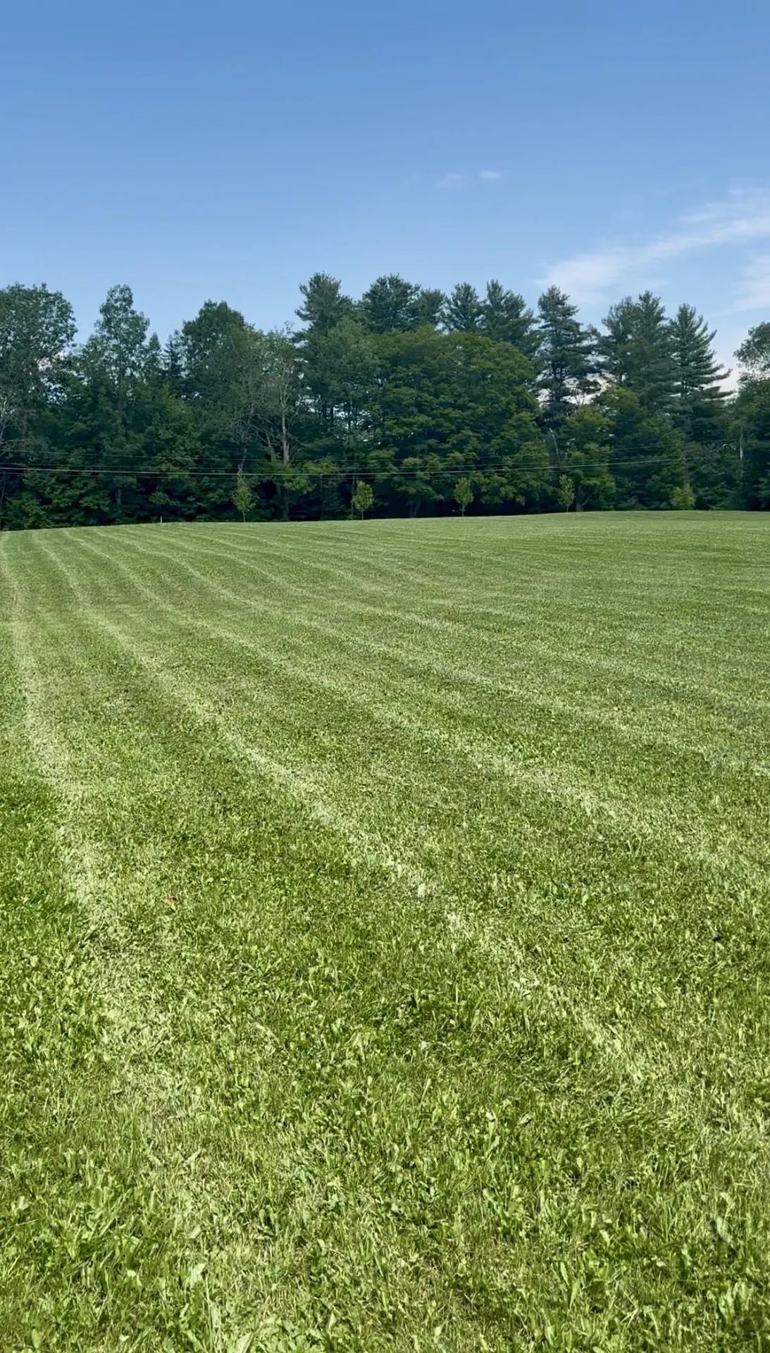315 North Hill Road Westfield VT 05874