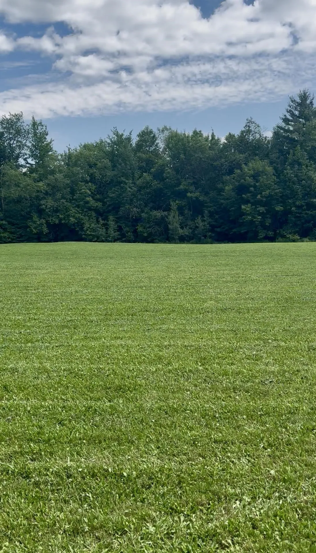 315 North Hill Road Westfield VT 05874