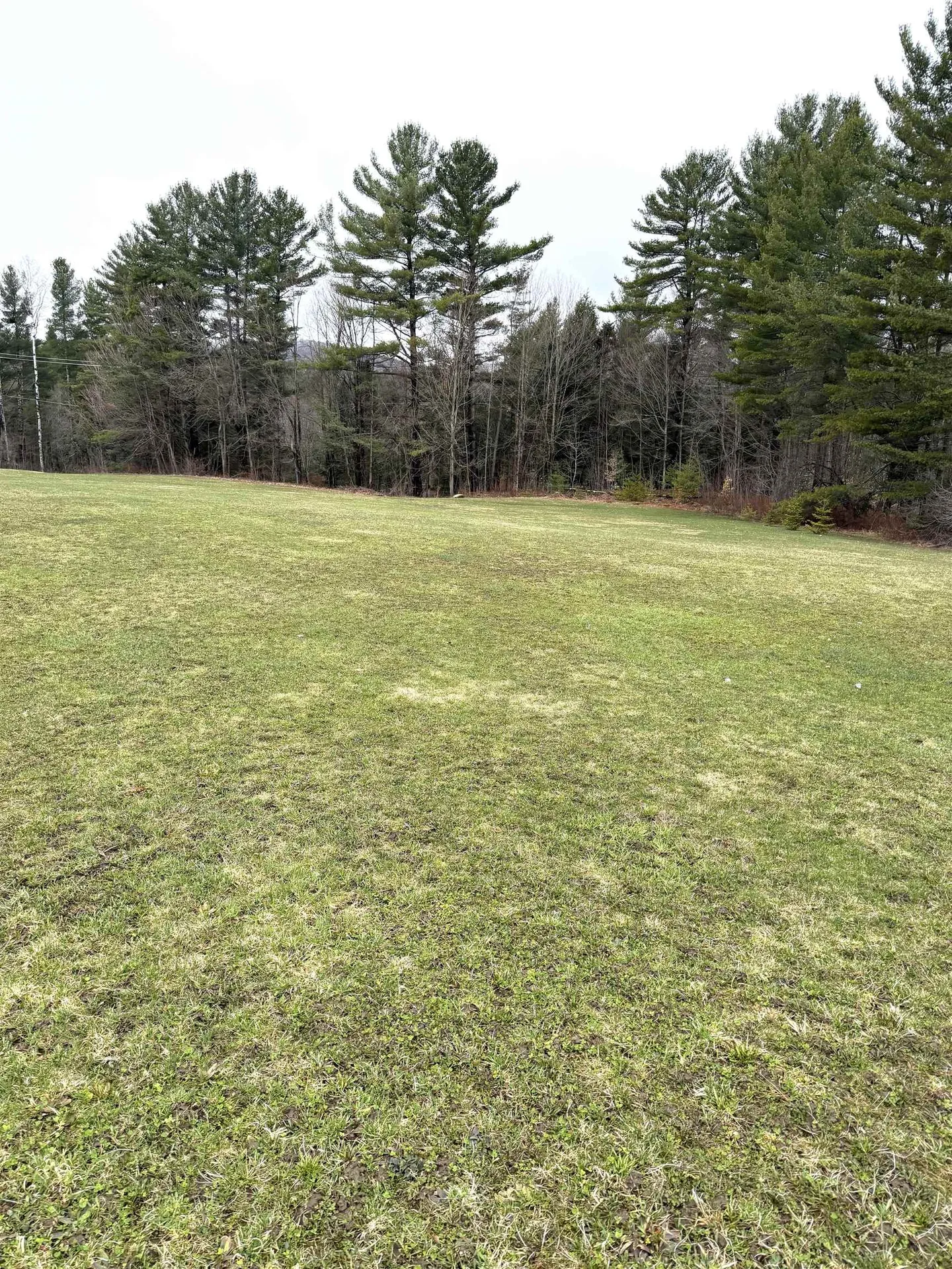 315 North Hill Road Westfield VT 05874