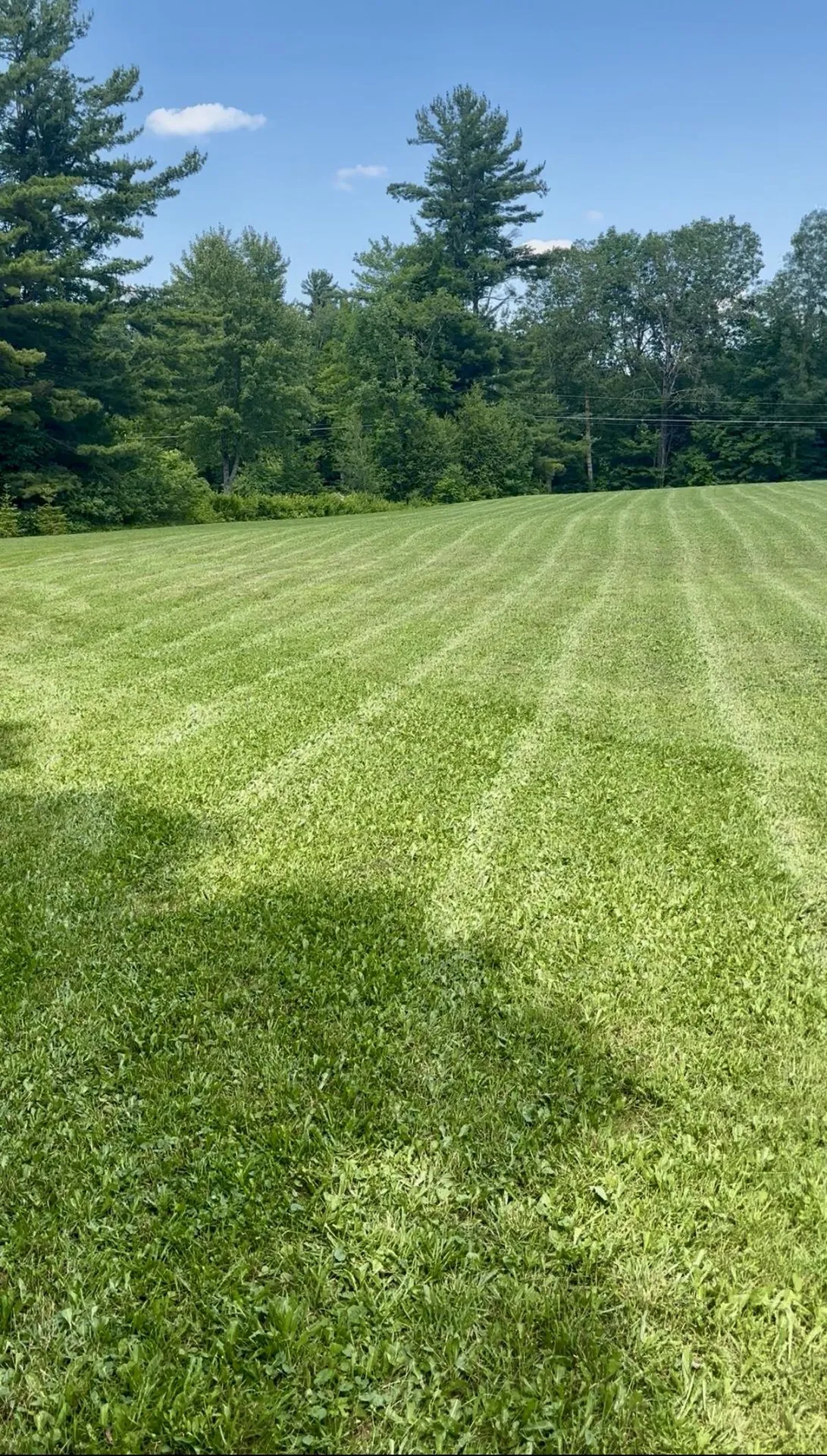 315 North Hill Road Westfield VT 05874