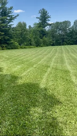 315 North Hill Road Westfield VT 05874