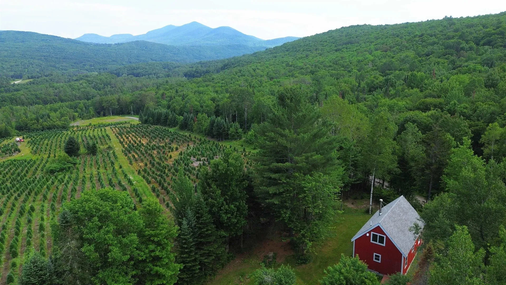 374 Crank Road Bloomfield VT 05905