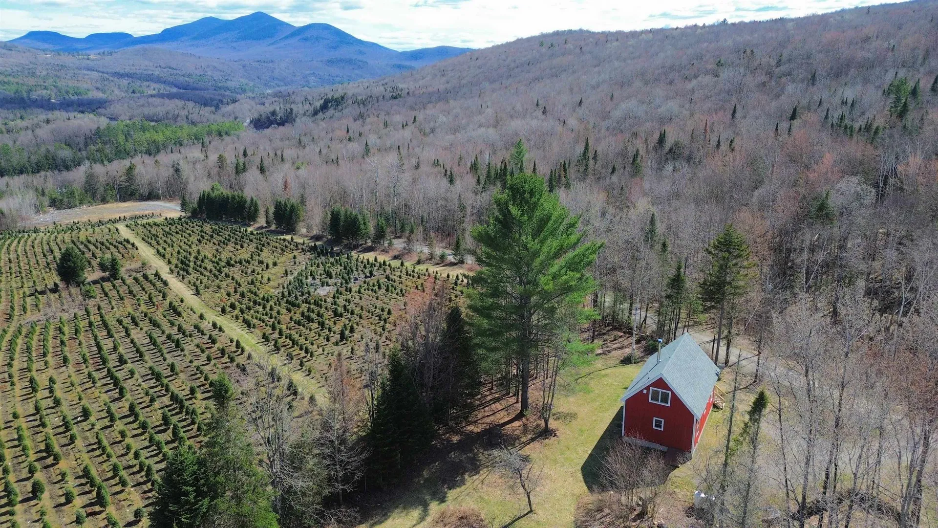 374 Crank Road Bloomfield VT 05905