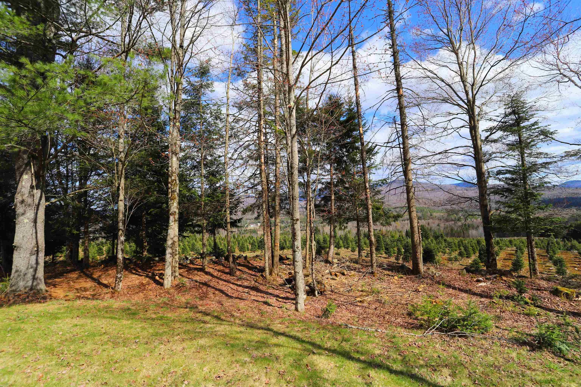 374 Crank Road Bloomfield VT 05905