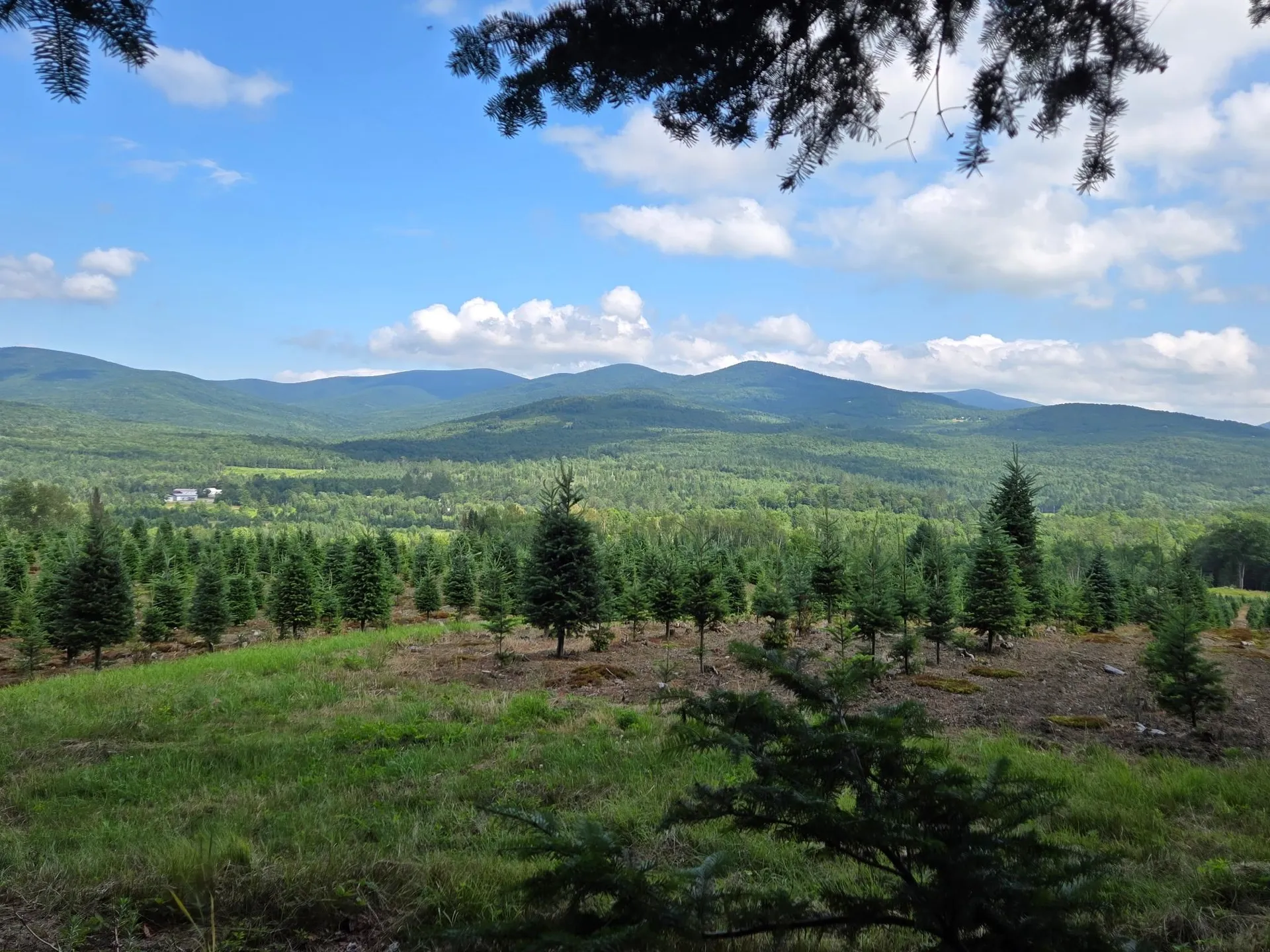 374 Crank Road Bloomfield VT 05905