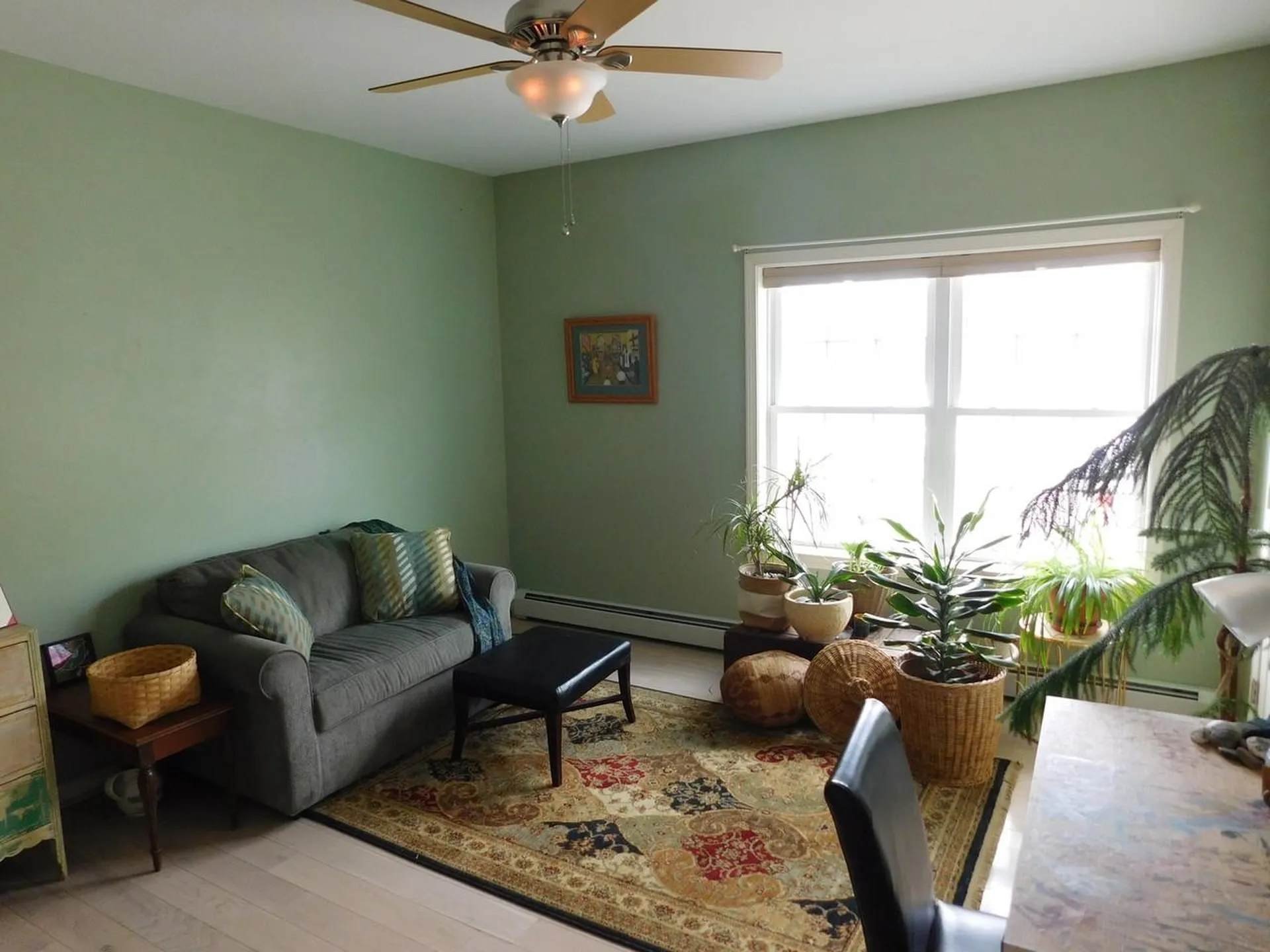 233 Day Lane Williston VT 05495