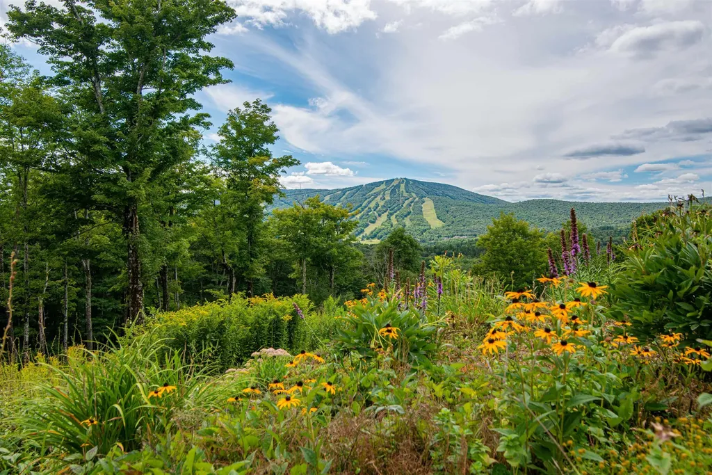 54 Upton Road Dover VT 05356