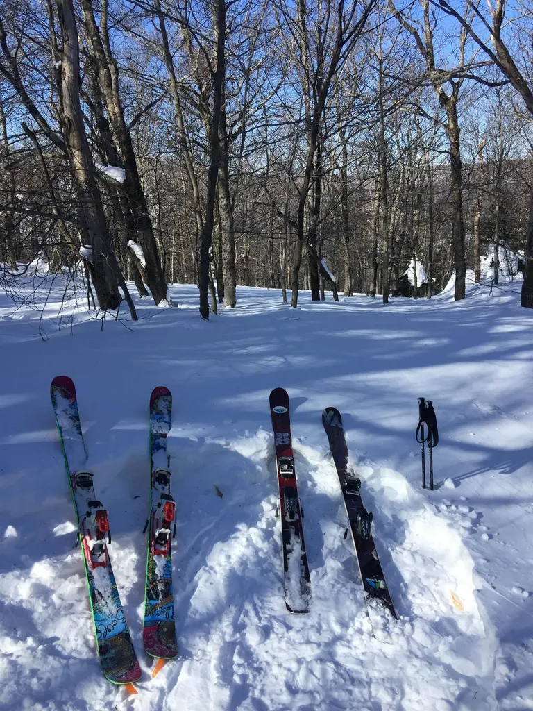 54 Upton Road Dover VT 05356