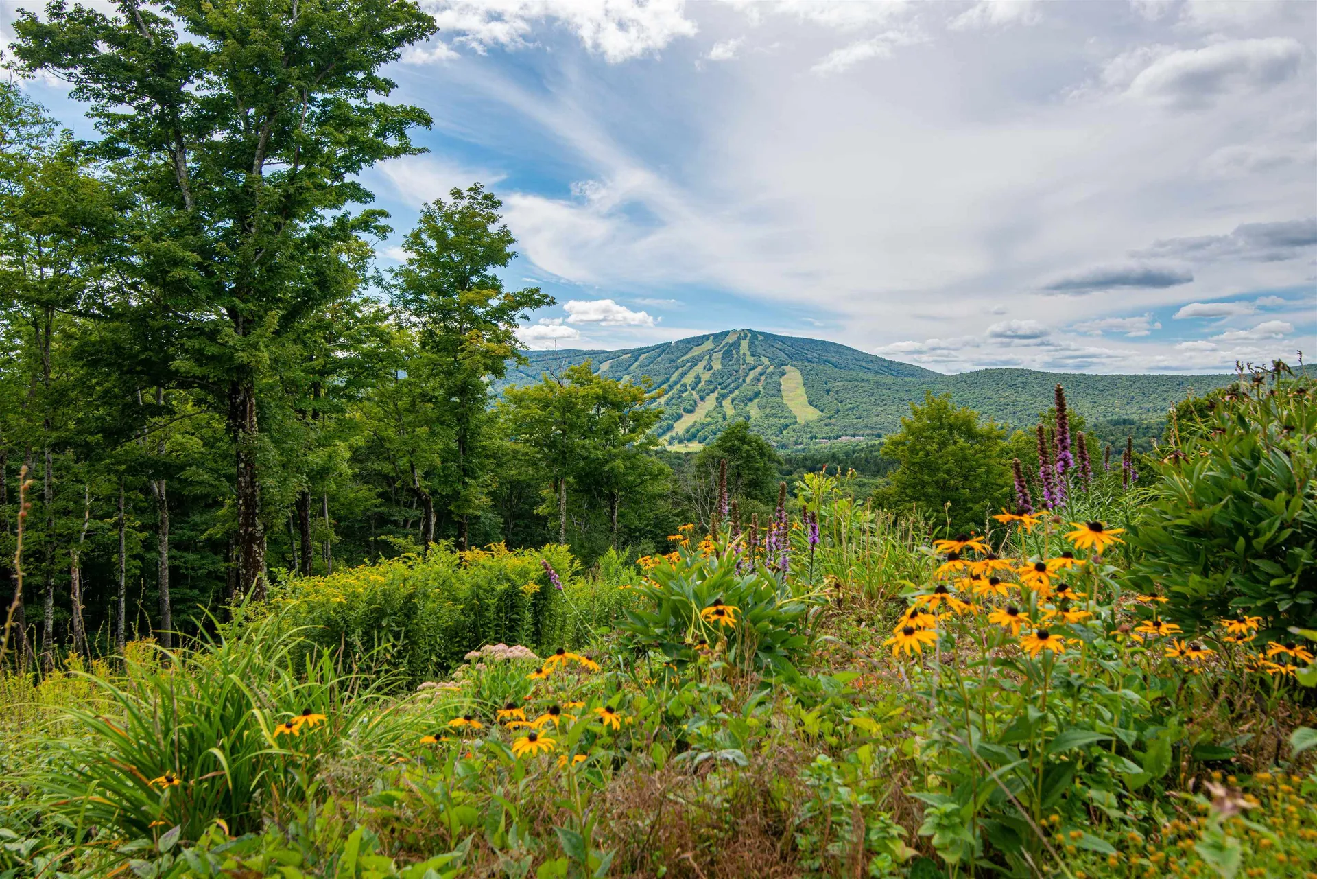 54 Upton Road Dover VT 05356