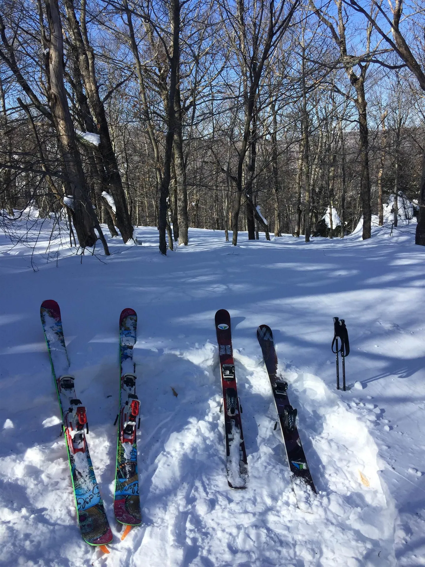 54 Upton Road Dover VT 05356