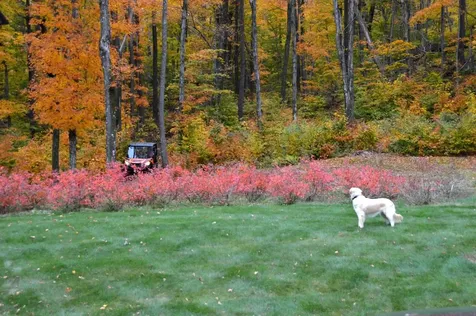 54 Upton Road Dover VT 05356