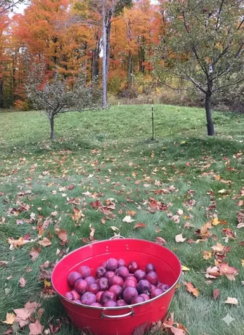 54 Upton Road Dover VT 05356