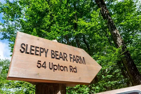 54 Upton Road Dover VT 05356