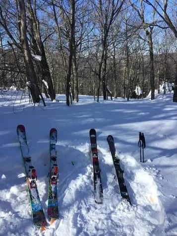 54 Upton Road Dover VT 05356