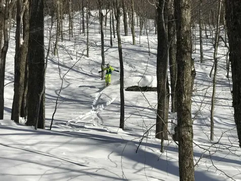 54 Upton Road Dover VT 05356