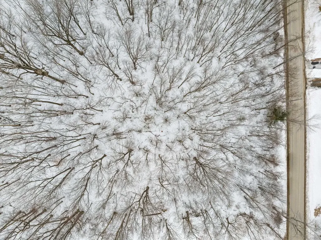 Tbd Abnaki Road North Hero VT 05474