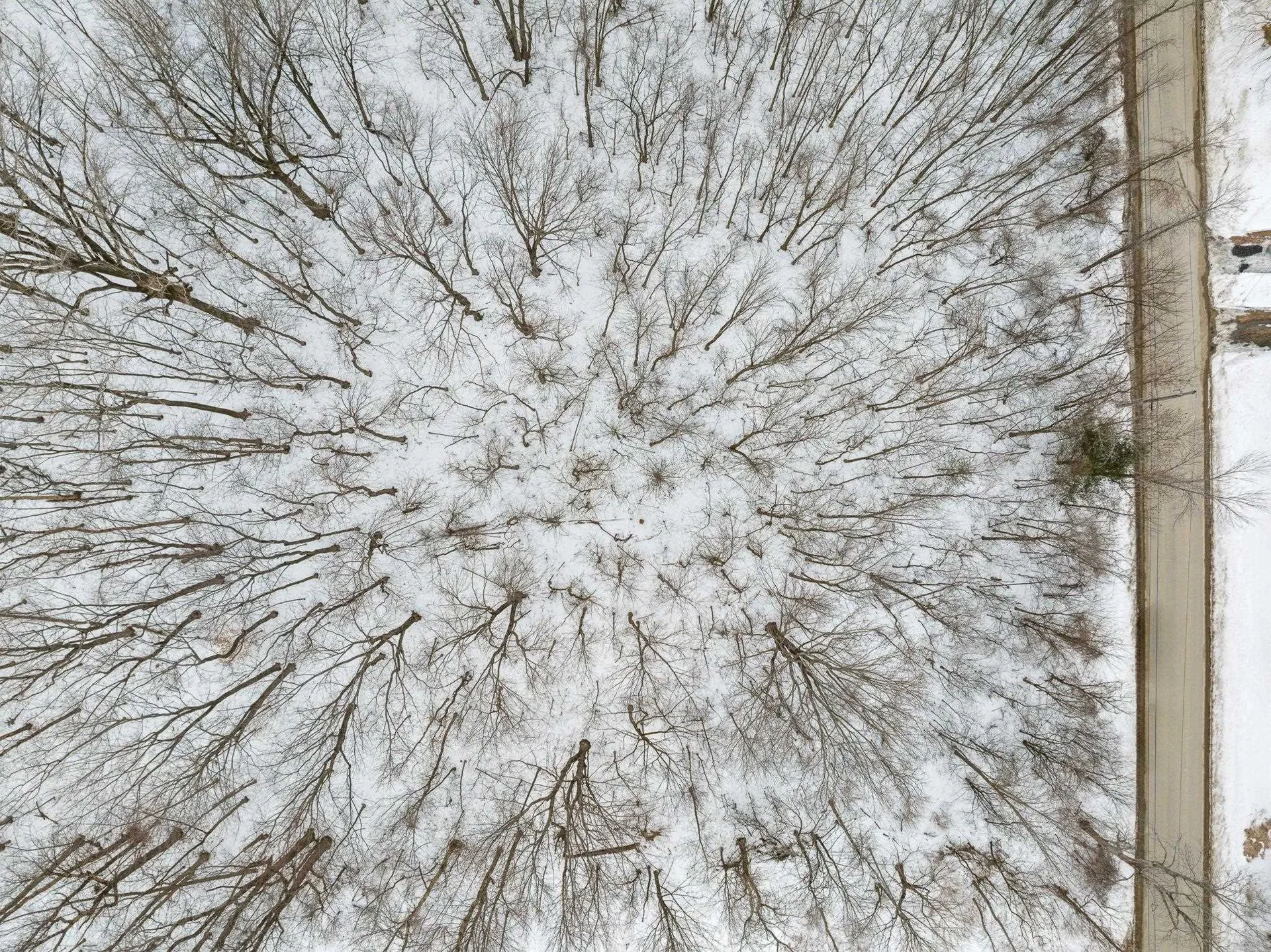 Tbd Abnaki Road North Hero VT 05474