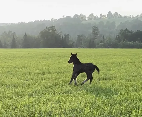 254 Airport Road Lyndon VT 05851