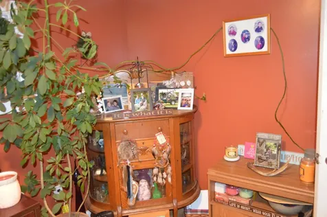 41 Morin Avenue Keene NH 03431