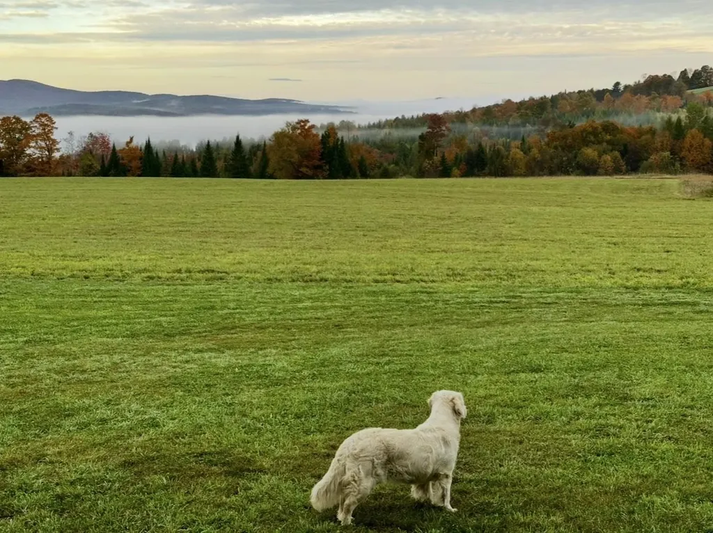 248 Airport Road Lyndon VT 05851