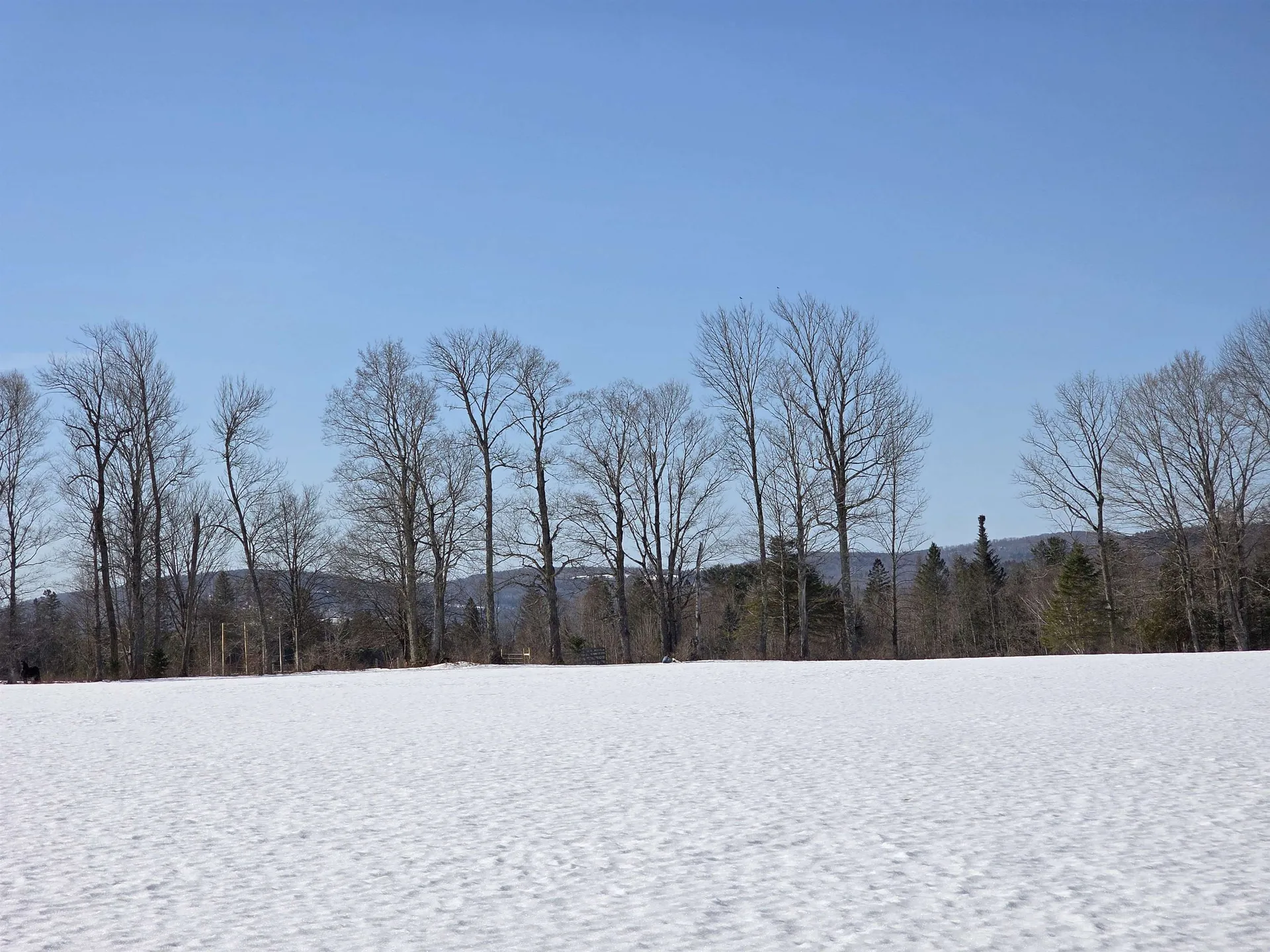 248 Airport Road Lyndon VT 05851