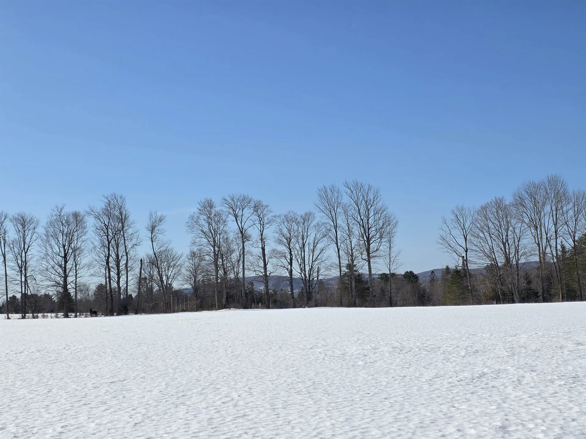 248 Airport Road Lyndon VT 05851