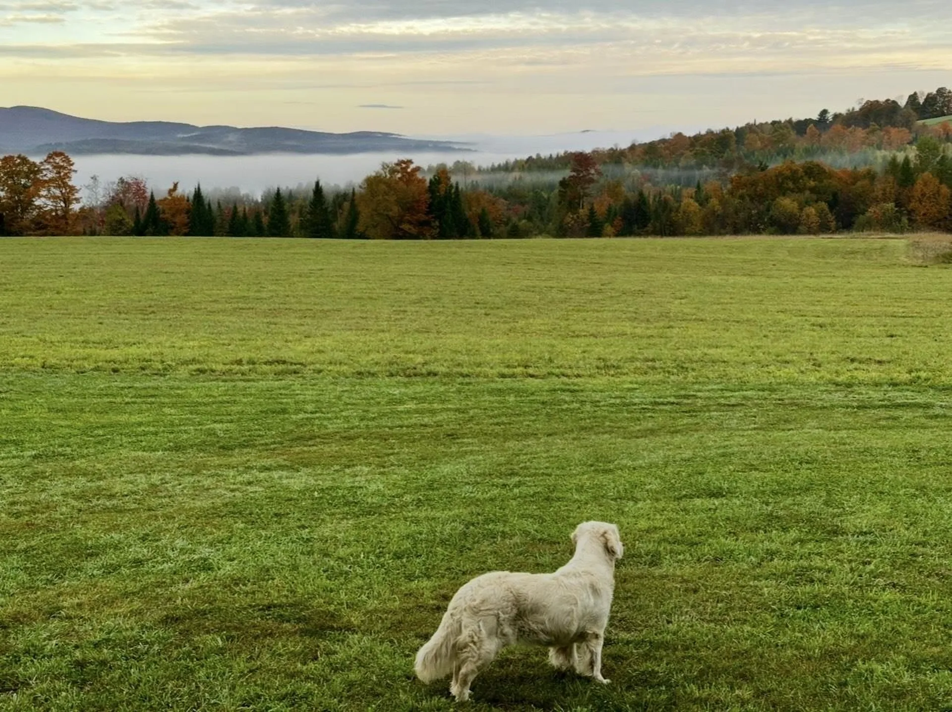 248 Airport Road Lyndon VT 05851