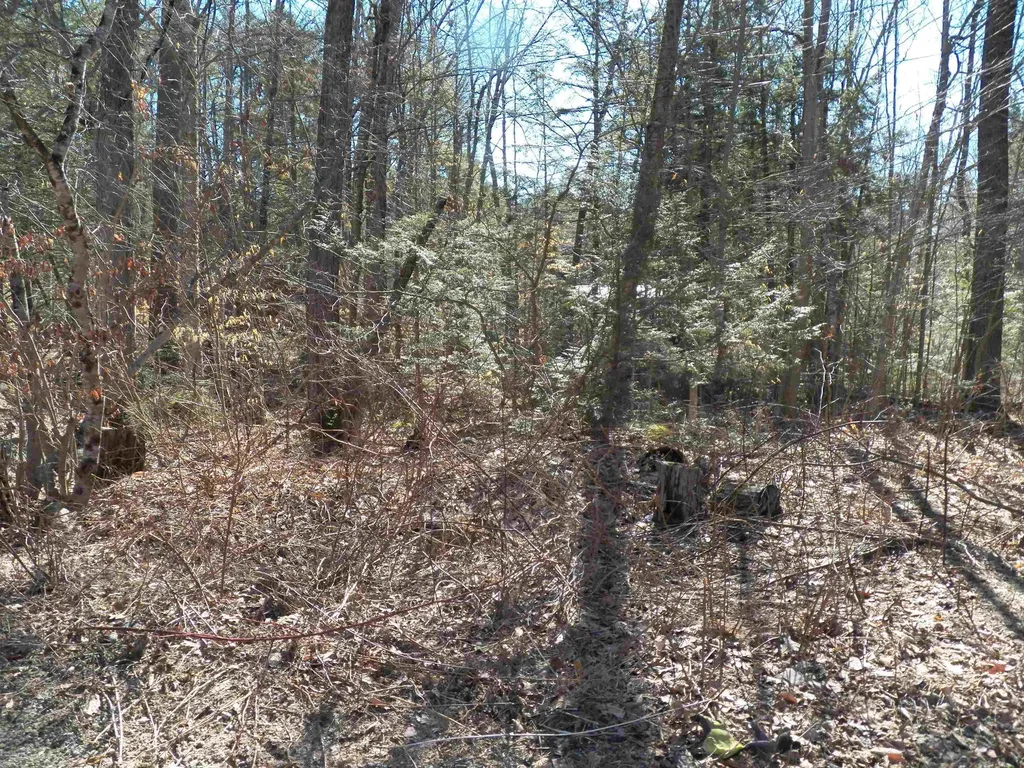 14-194 Seminole Road Hillsborough NH 03244