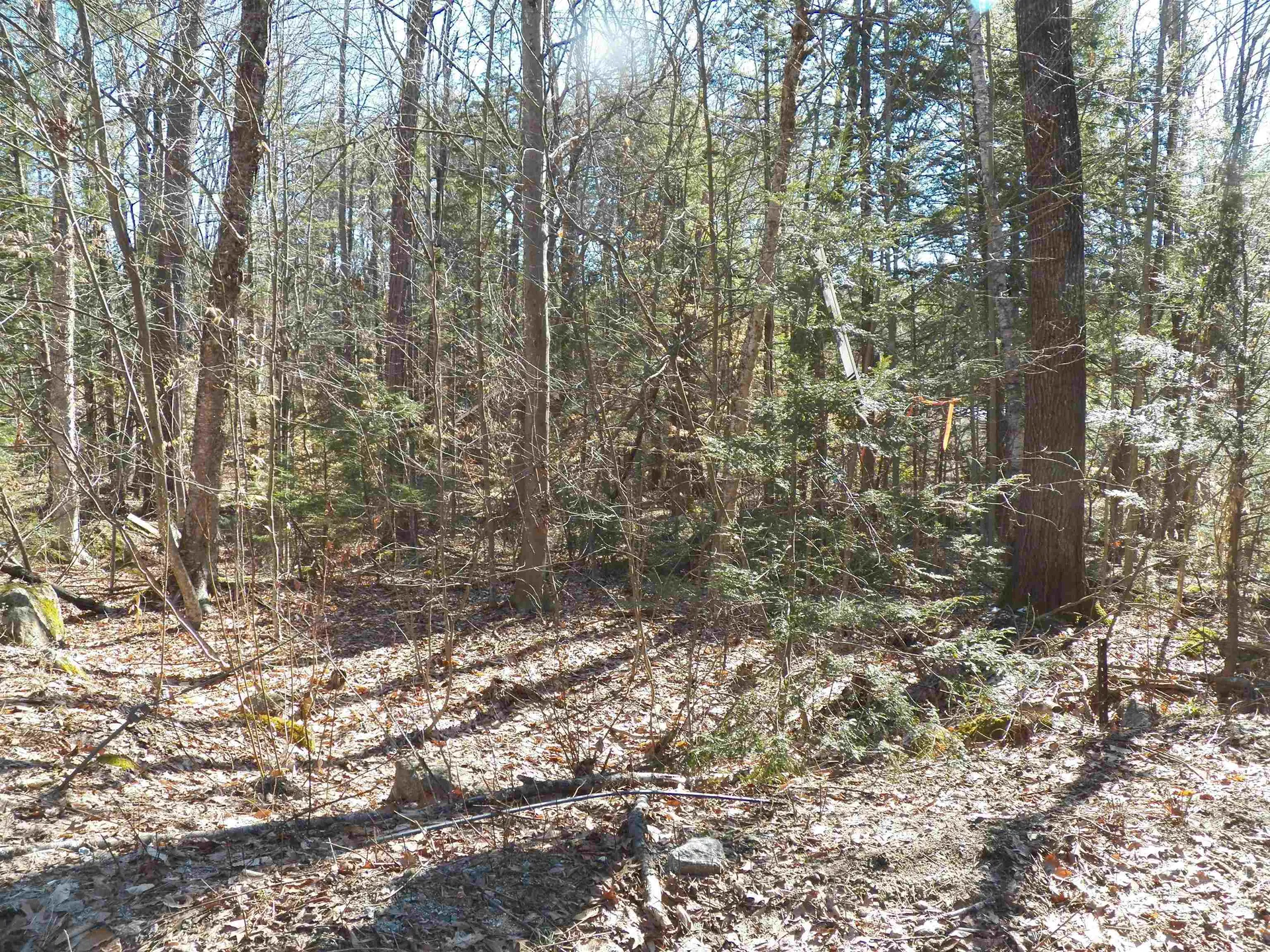 14-194 Seminole Road Hillsborough NH 03244