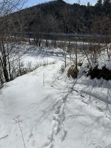 Lot 10 Us Route 3 Stratford NH 03590