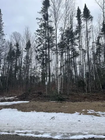 Lot 10 Us Route 3 Stratford NH 03590