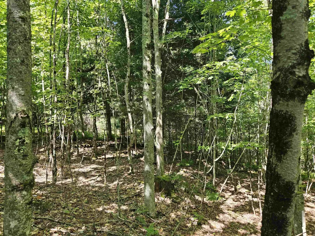 Lot 3.3 Off Parker Road Lisbon NH 03585