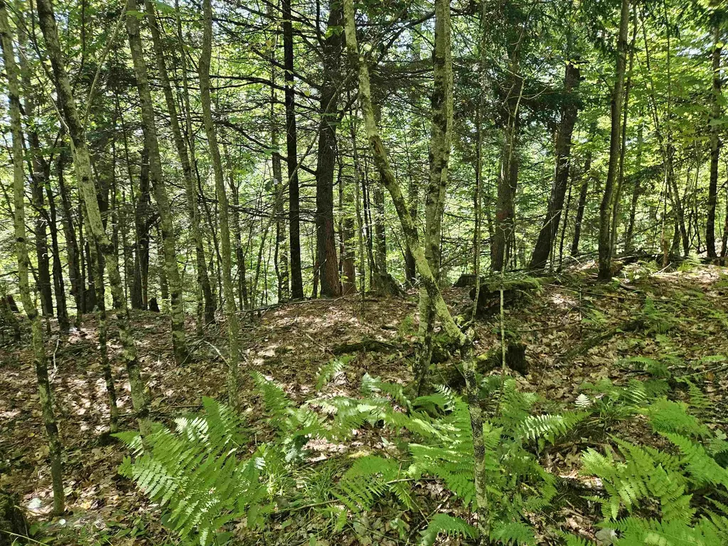 Lot 3.3 Off Parker Road Lisbon NH 03585