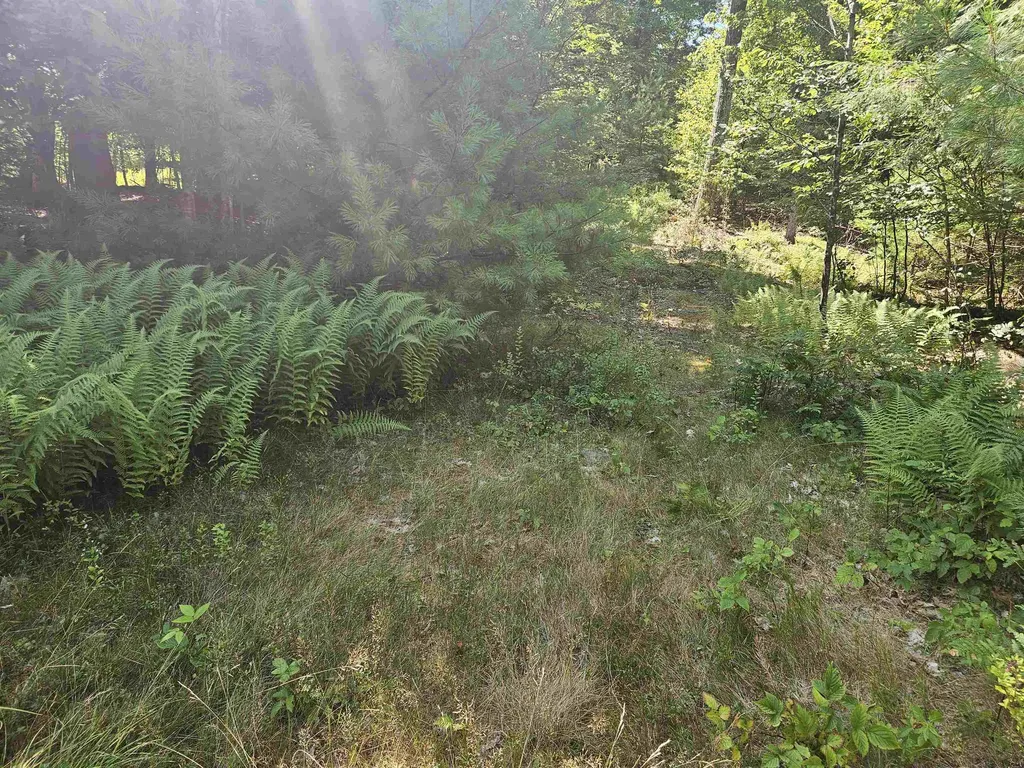 Lot 3.3 Off Parker Road Lisbon NH 03585