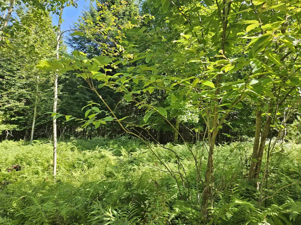 Lot 3.3 Off Parker Road Lisbon NH 03585