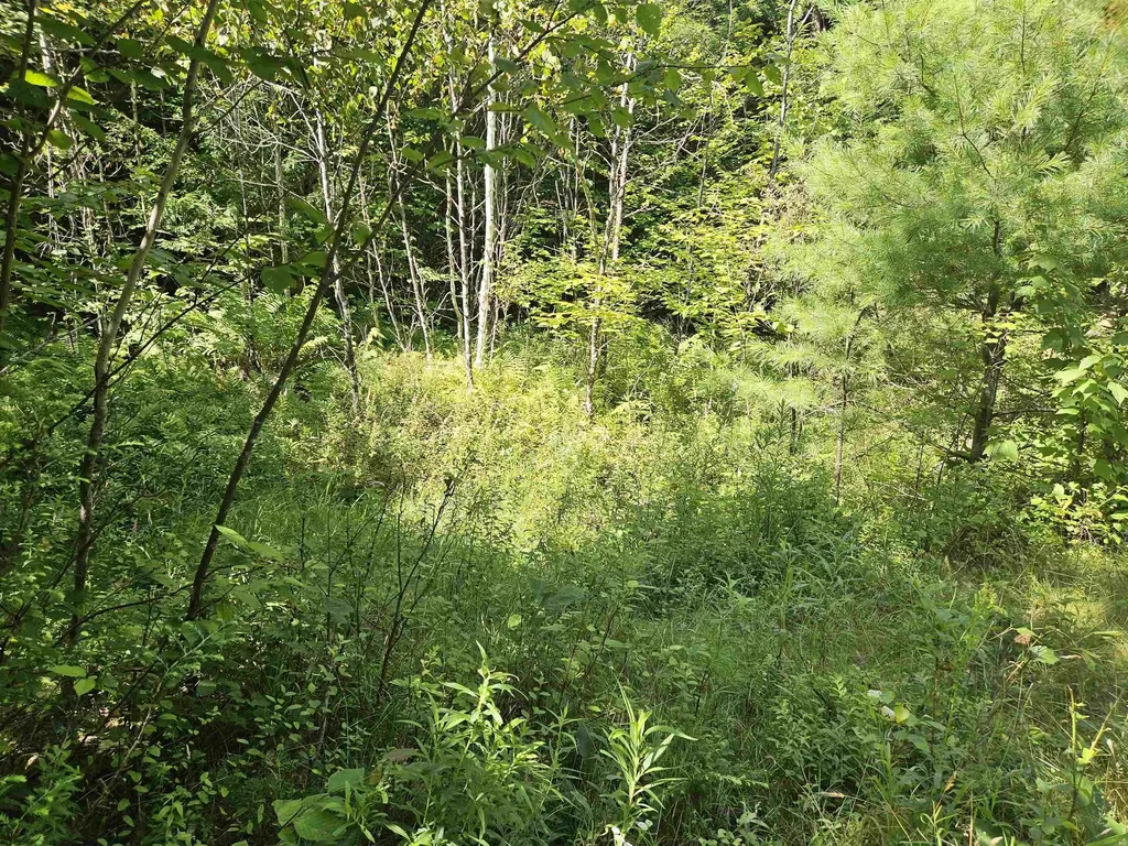 Lot 3.3 Off Parker Road Lisbon NH 03585