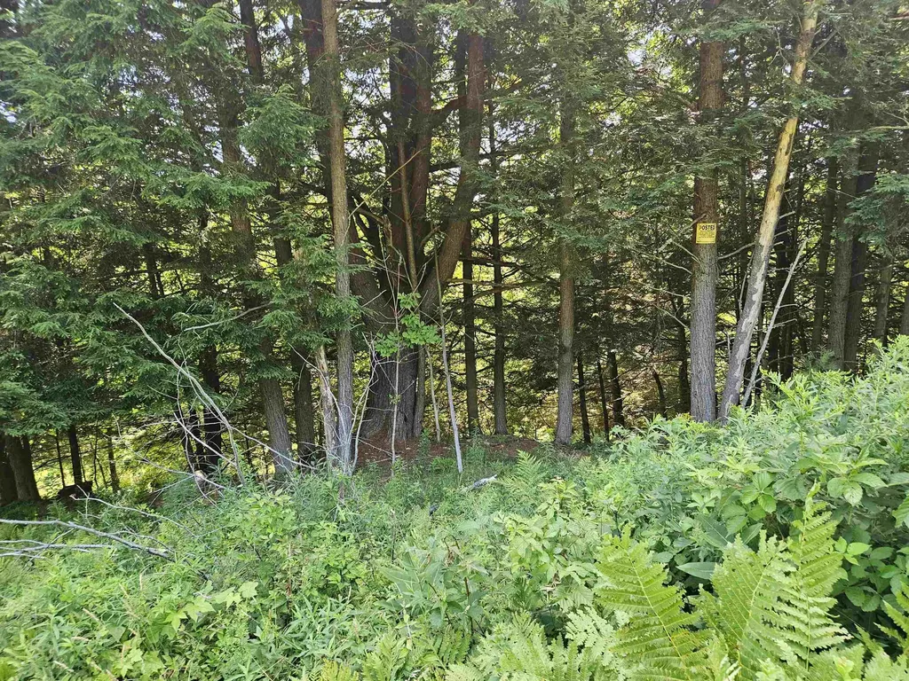 Lot 3.3 Off Parker Road Lisbon NH 03585