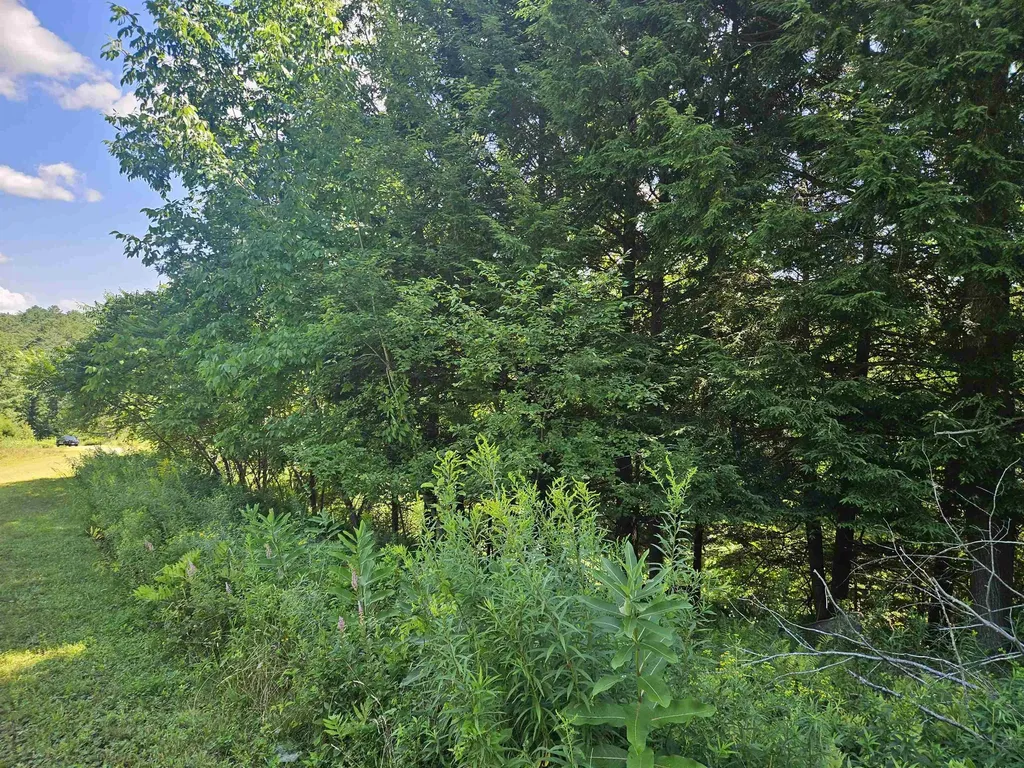 Lot 3.3 Off Parker Road Lisbon NH 03585