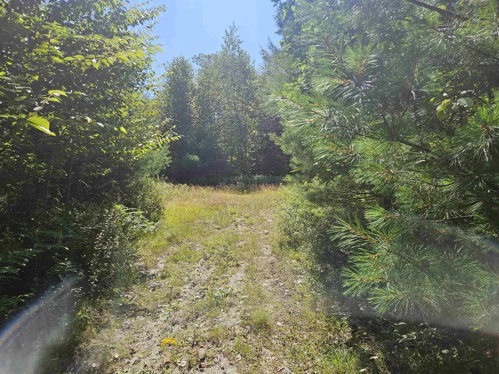 Lot 3.3 Off Parker Road Lisbon NH 03585