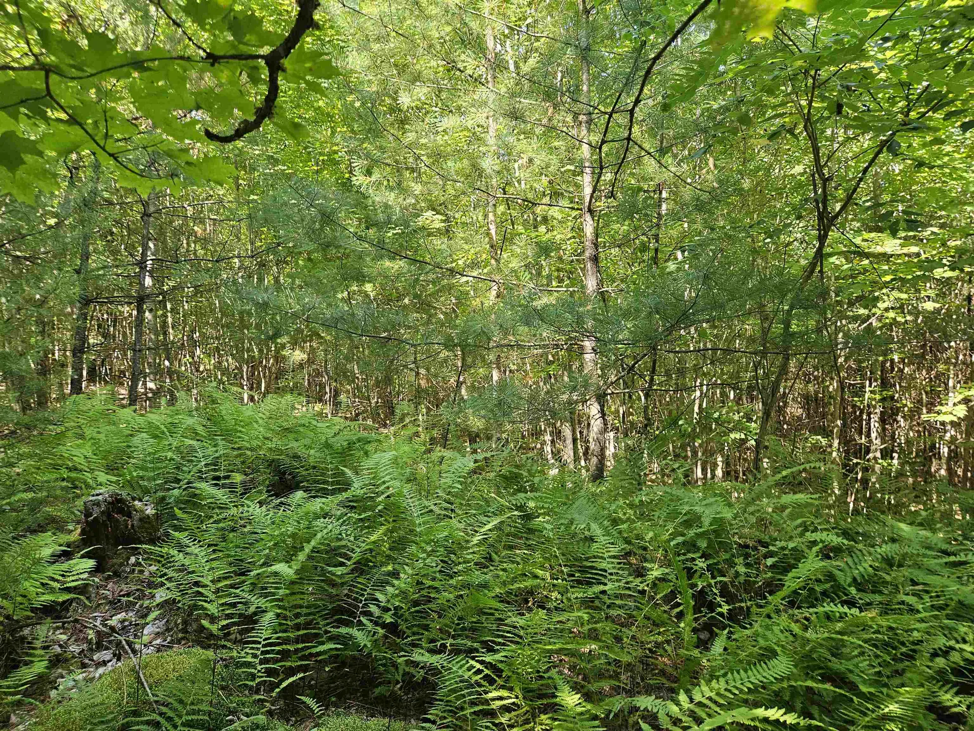 Lot 3.3 Off Parker Road Lisbon NH 03585