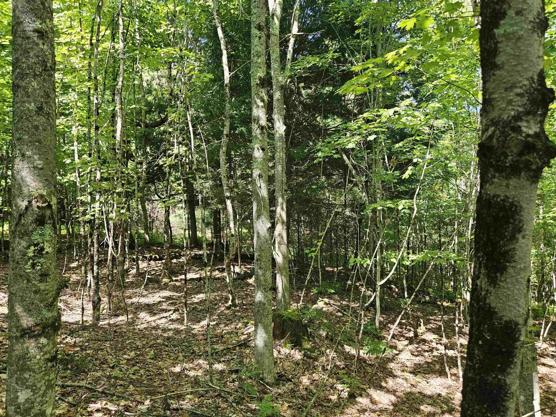 Lot 3.3 Off Parker Road Lisbon NH 03585