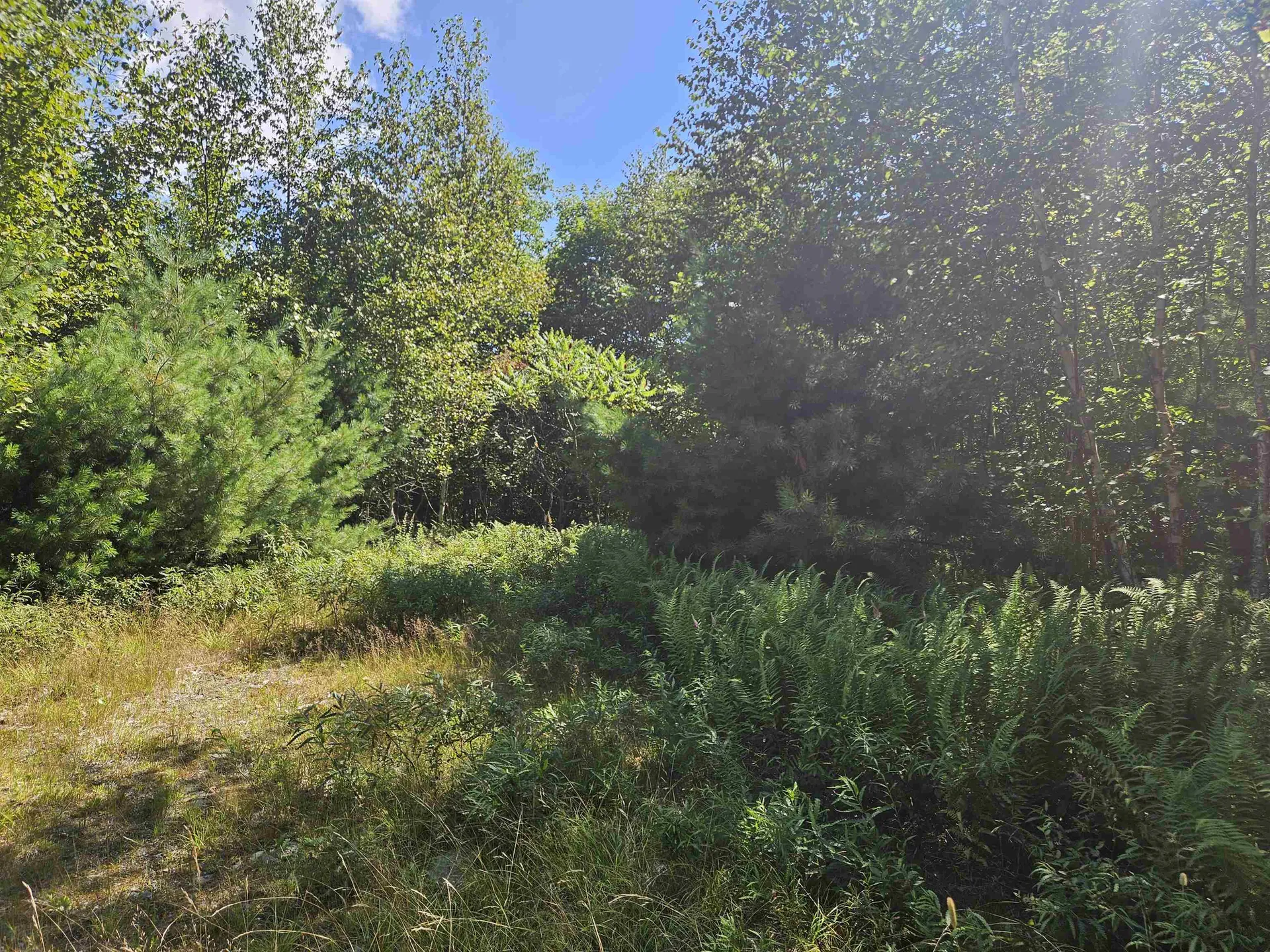 Lot 3.3 Off Parker Road Lisbon NH 03585