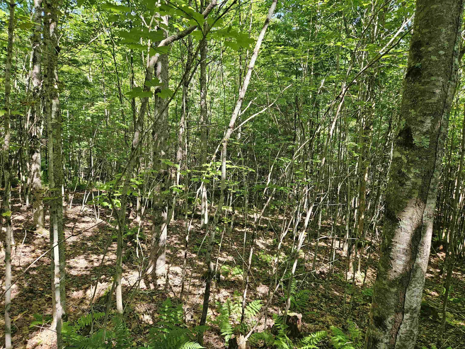 Lot 3.3 Off Parker Road Lisbon NH 03585