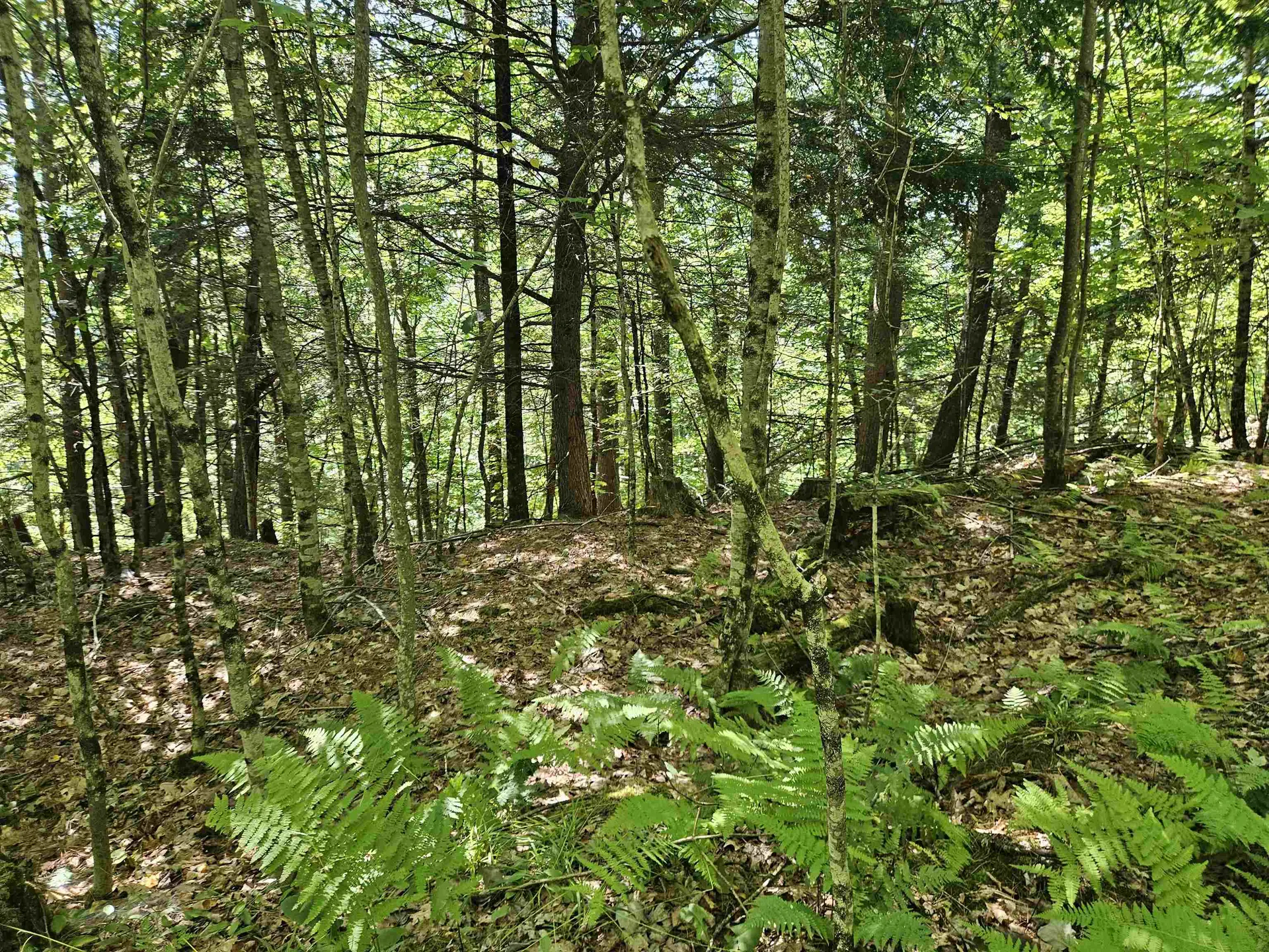 Lot 3.3 Off Parker Road Lisbon NH 03585